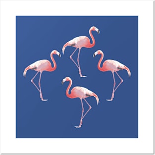 Flamingos Posters and Art